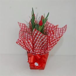 Vaso de Tulipa